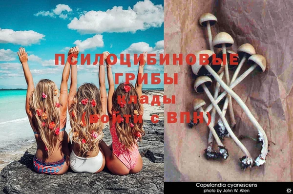 a pvp Осташков