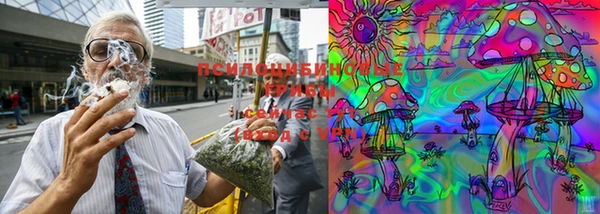 не бодяженный Абинск