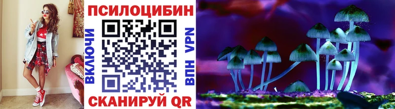 Псилоцибиновые грибы Psilocybe Чегем